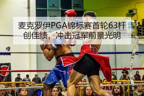 mai-ke-luo-yi-jin-biao-sai-shou-lun-gan-chuang-jia-ji-chong-ji-guan-jun-qian-jing-guang-ming-2-980.jpg